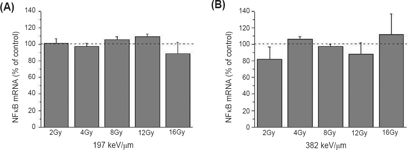 Expression of NFκB mRNA in HTB140 human melanoma cells 48 h after irradiation with 12C ions of 197 (A) and 382 keV/μm (B). Irradiation doses were 2 - 16 Gy. RPL19 was used as internal control. Mean ± SD values obtained from three experiments are presented as percentage of control value, which was set as 100 per cent. P*<0.05, **<0.01, ***<0.001 compared to the control.